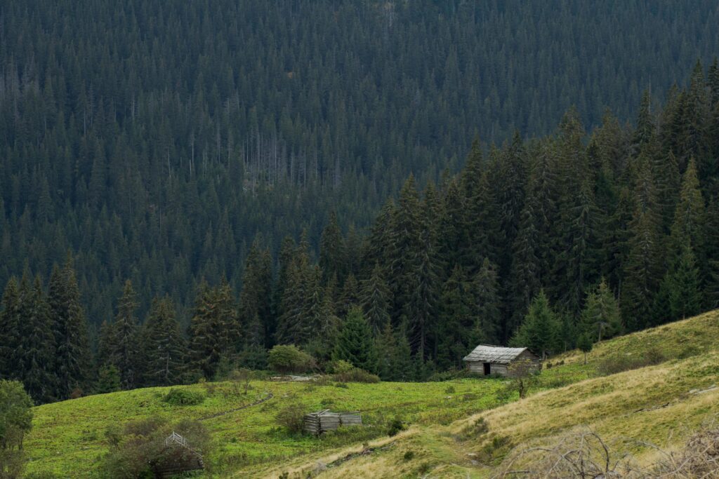 Landscape with autumn mountines and forest Stock Free