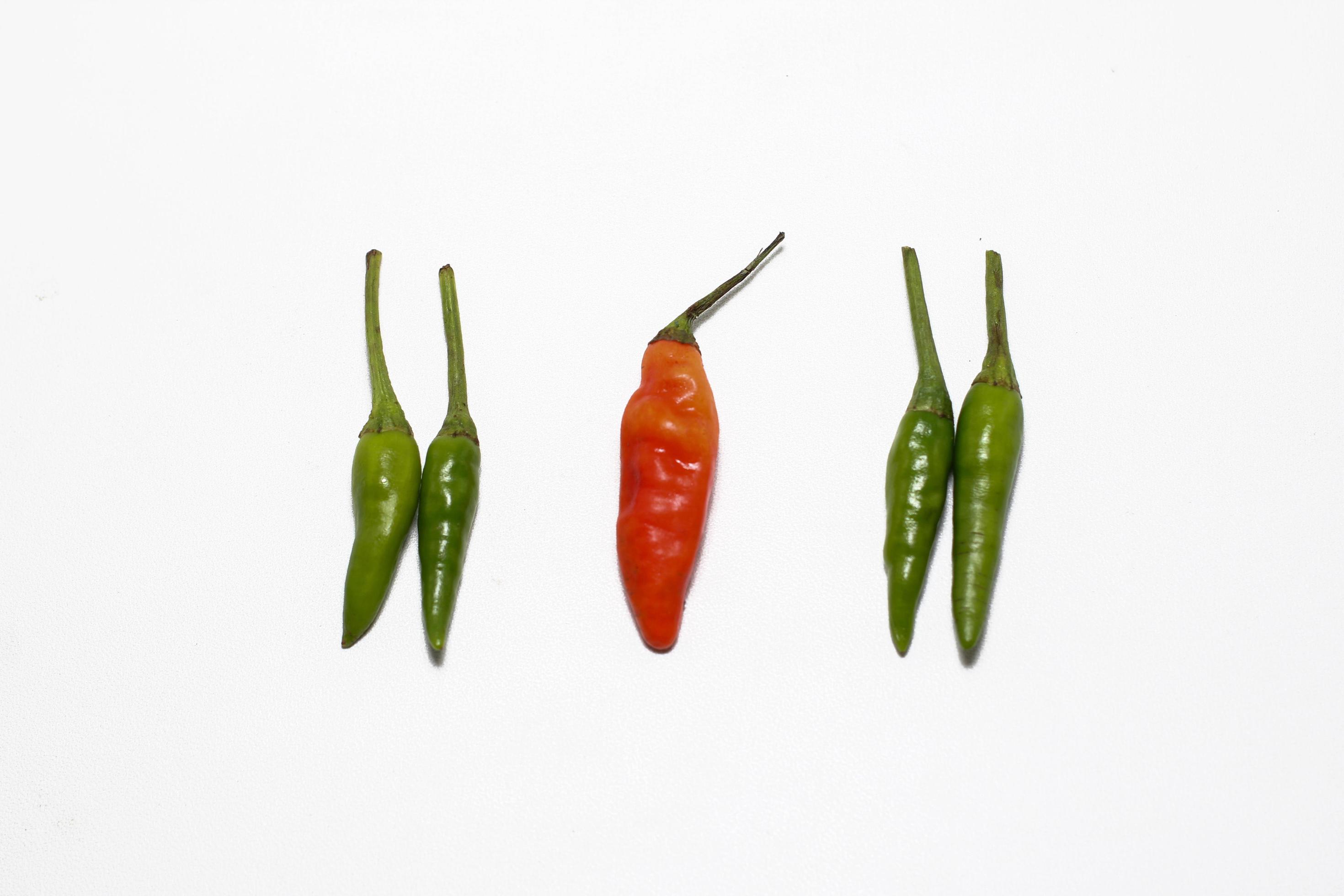 Red and Green hot Cayenne pepper Minimal food concept Stock Free