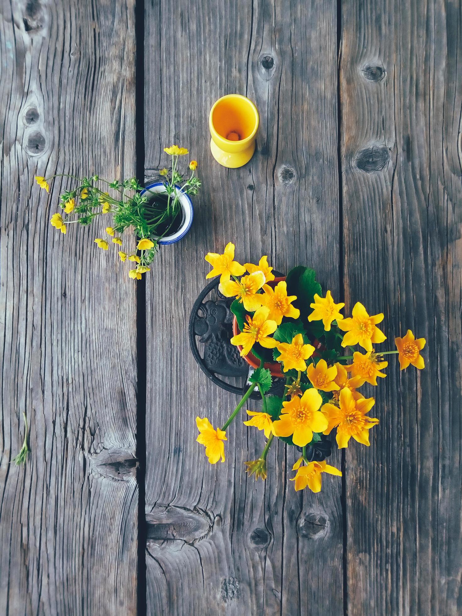 field yellow flowers in colorful vases top view Stock Free