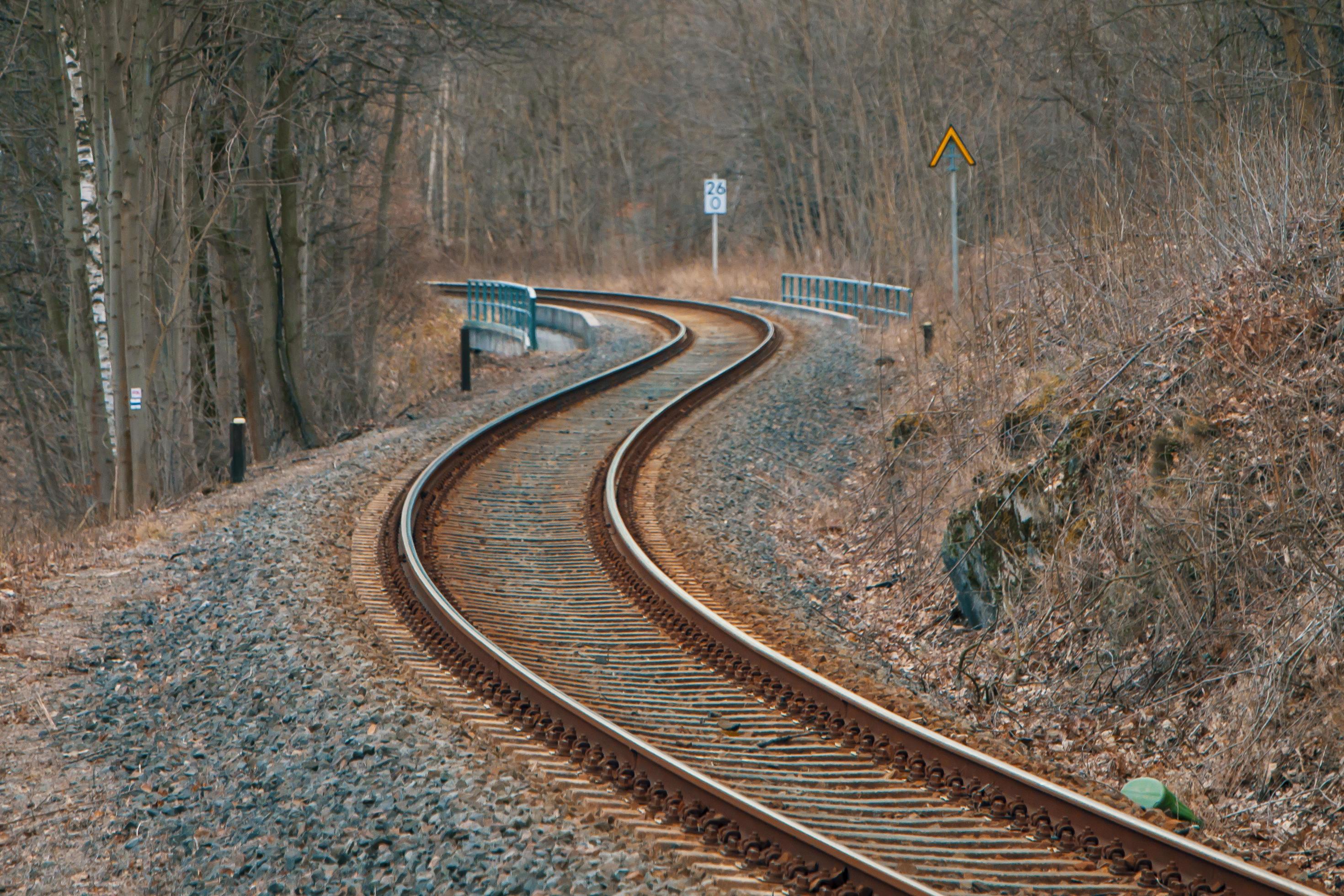 Railway tracks in a forest Stock Free