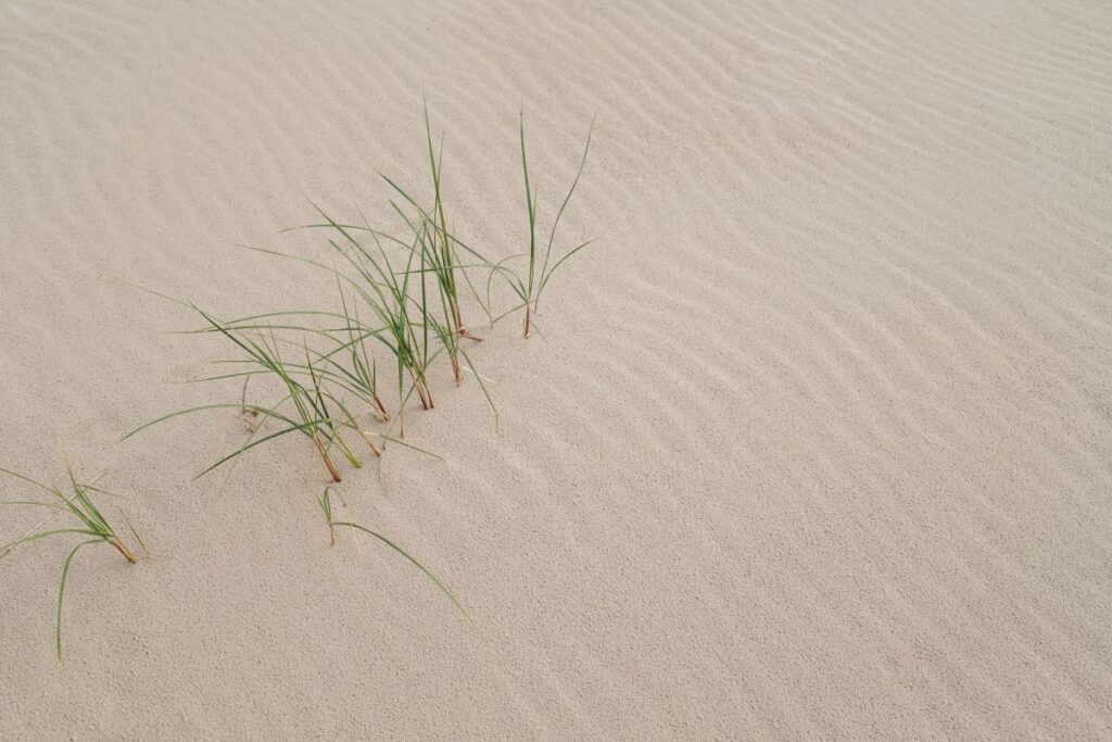 Serenity by the Sea: Coastal Landscapes and Beach Textures Stock Free