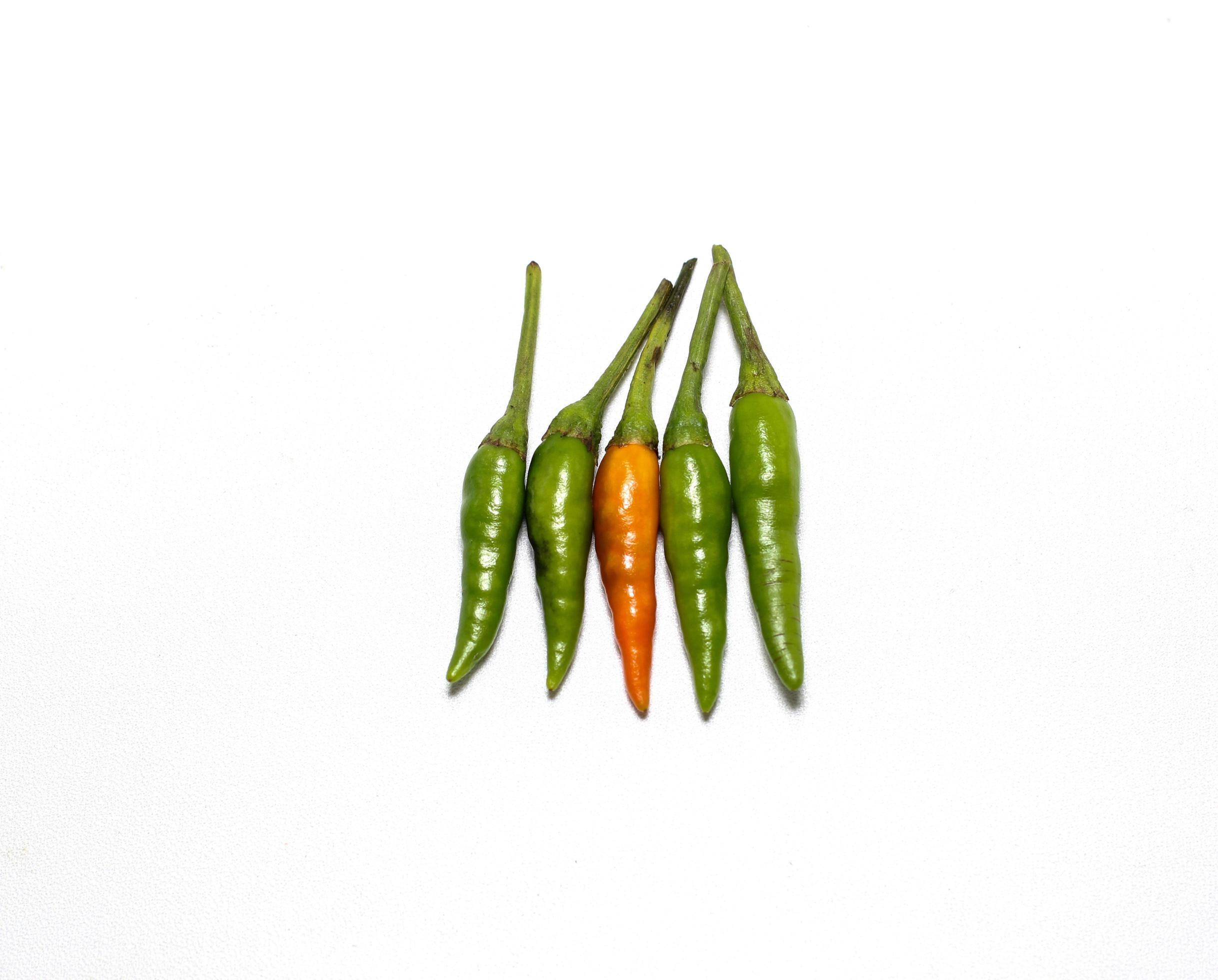 Red and Green hot Cayenne pepper Minimal food concept Stock Free