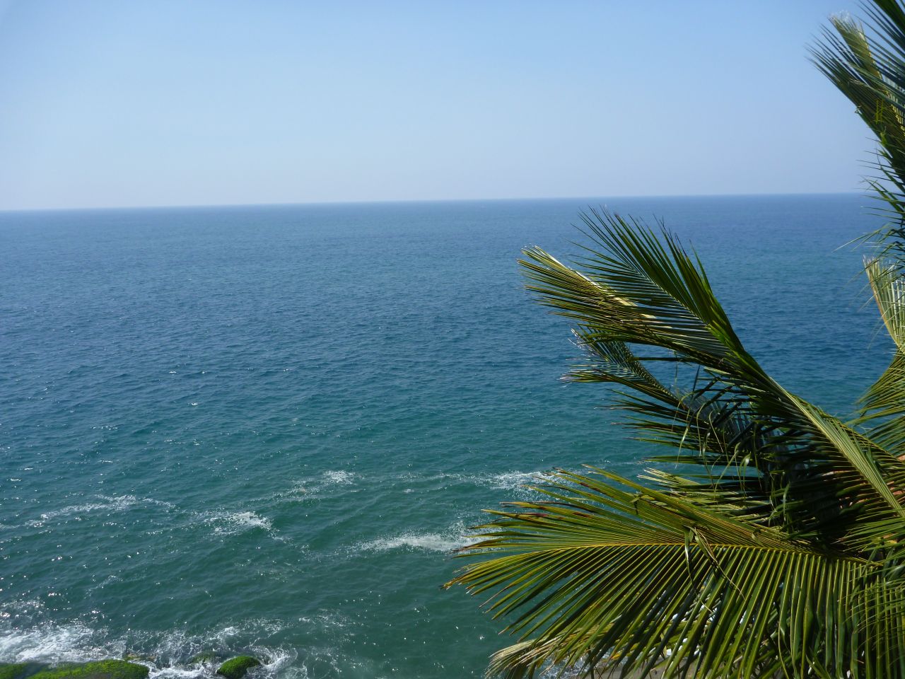 Palm Trees Dark Blue Sea Stock Free