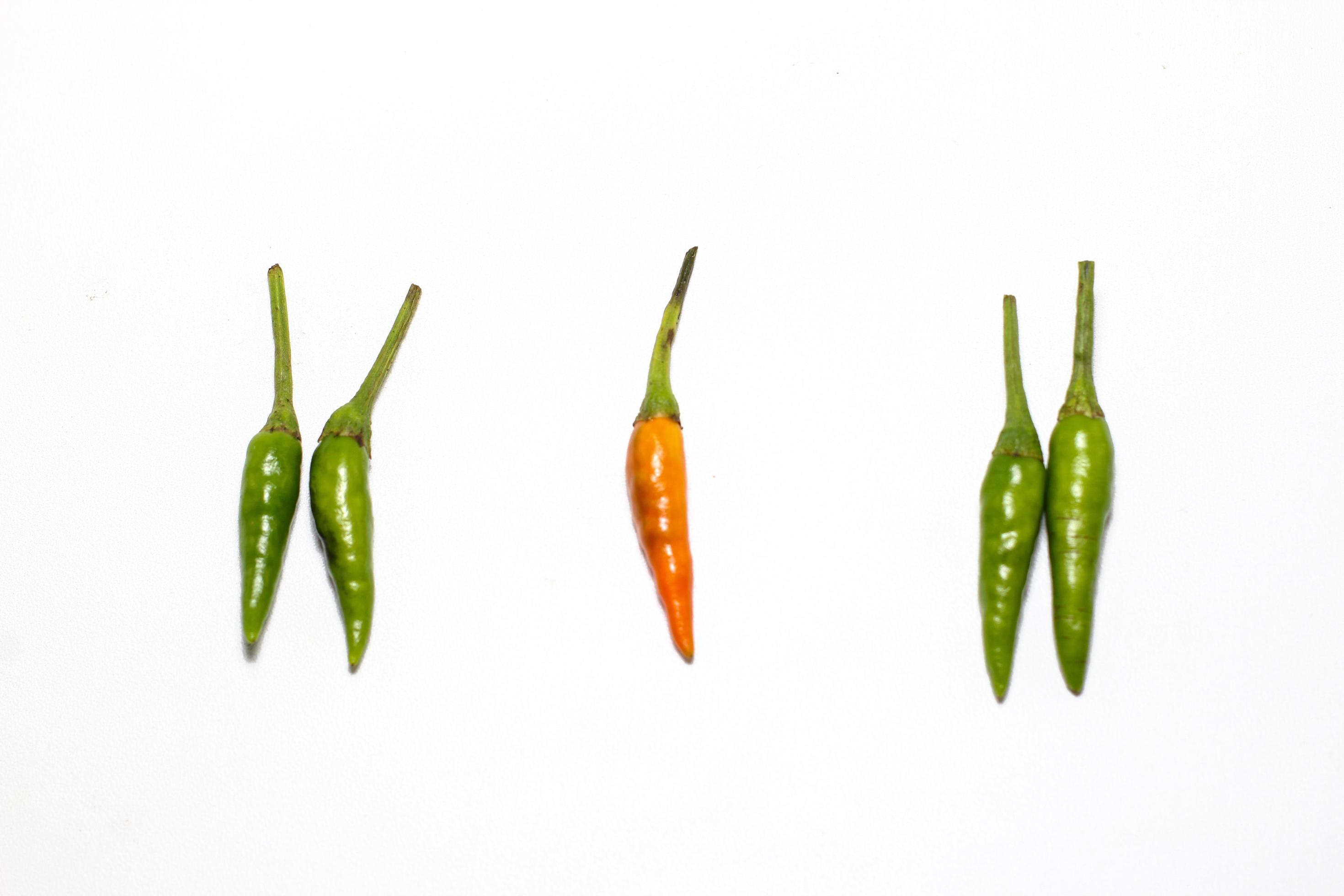 Red and Green hot Cayenne pepper Minimal food concept Stock Free