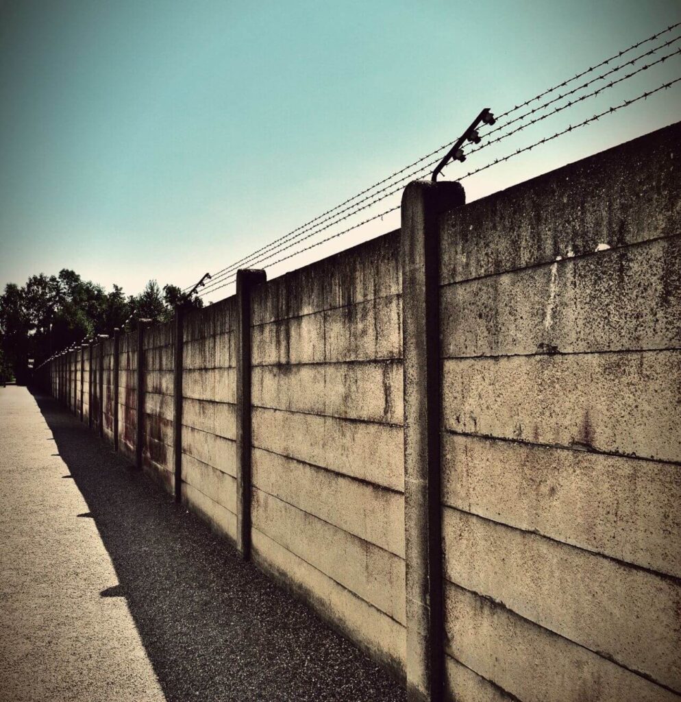 Barbed wire Stock Free