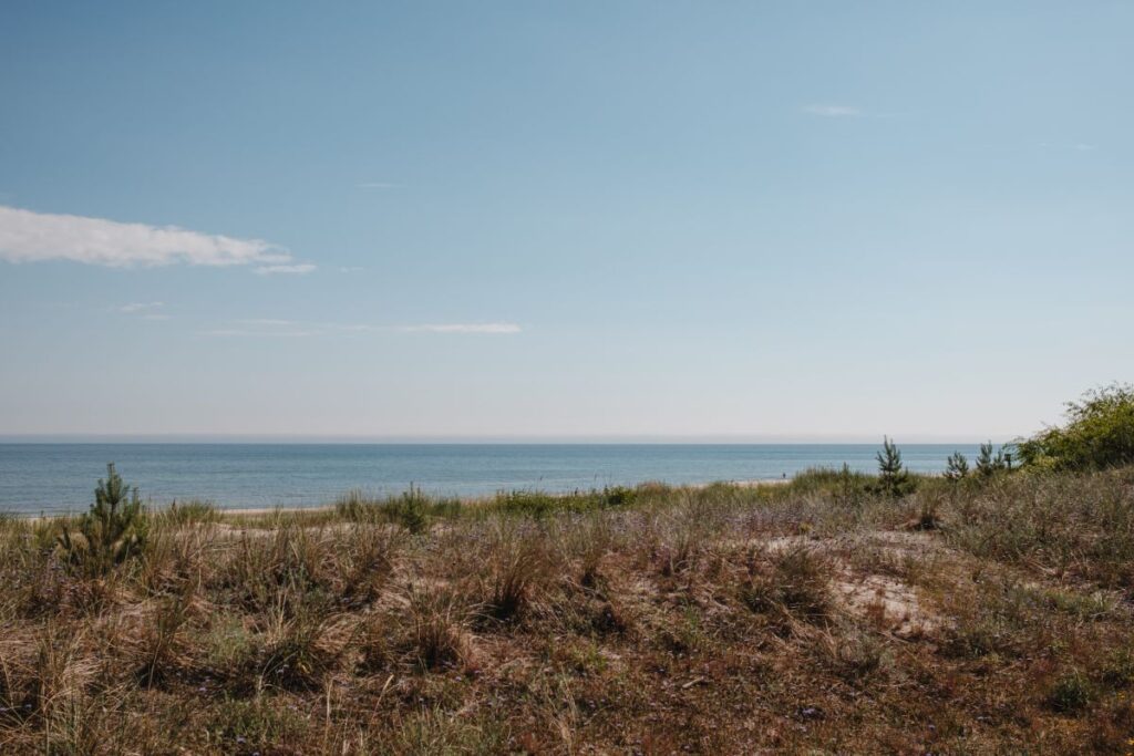 Serenity by the Sea: Coastal Landscapes and Beach Textures Stock Free