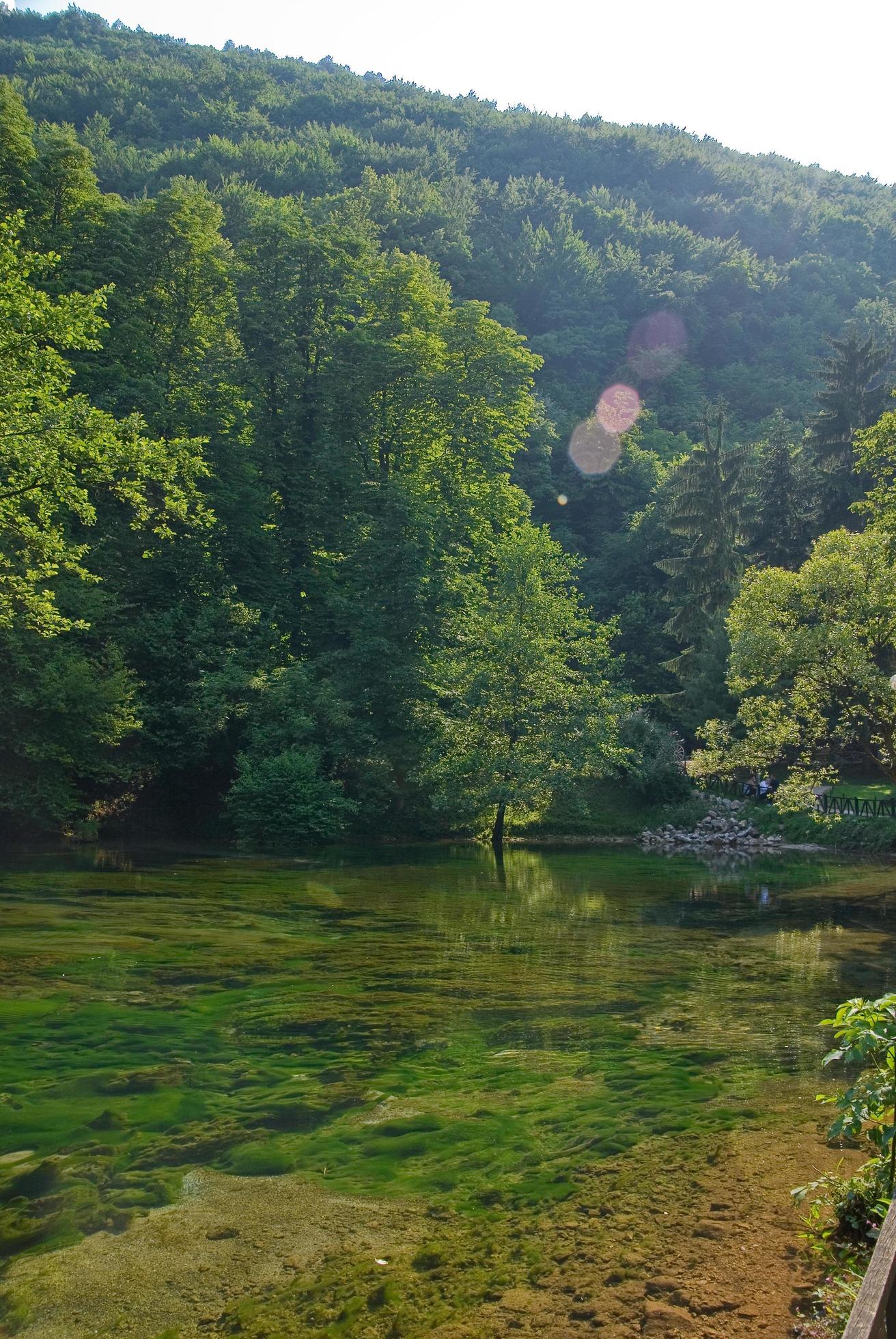 lake in pure nature Stock Free