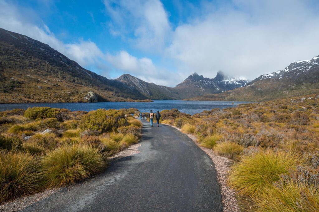 The natural trails way to Dove lake in Cradle mountain and lake St.Clair national park, Tasmania, Australia. Stock Free