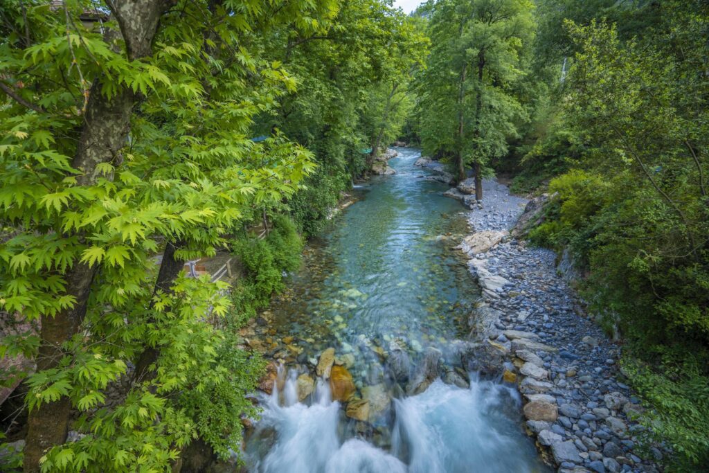 Mountain river stream waterfall green forest Landscape nature plant tree rainforest jungle Stock Free