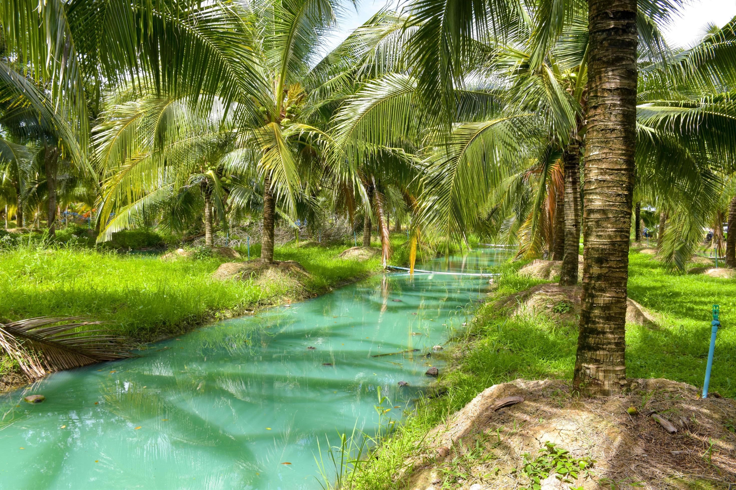 Coconut trees and blue water beauty nature in south Thailand Stock Free