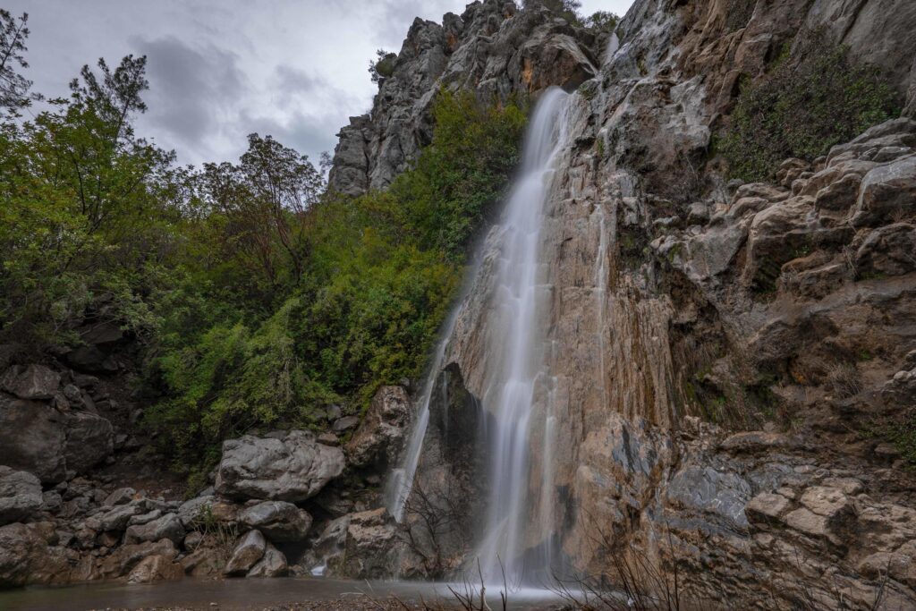 Mountain river stream waterfall green forest Landscape nature plant tree rainforest jungle Stock Free