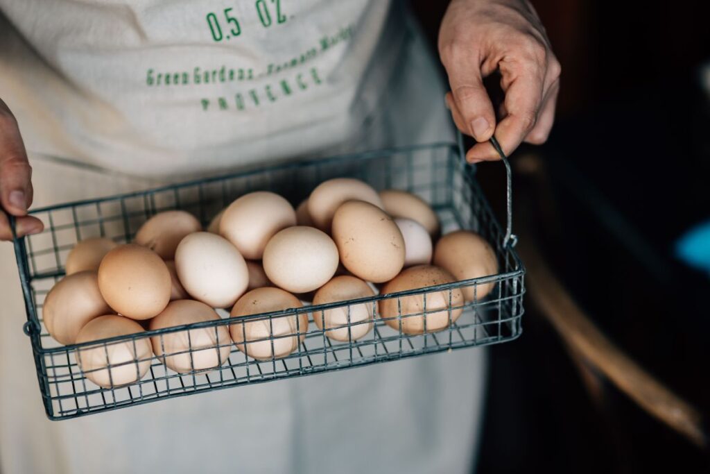 Wire mesh basket with fresh farm eggs Stock Free