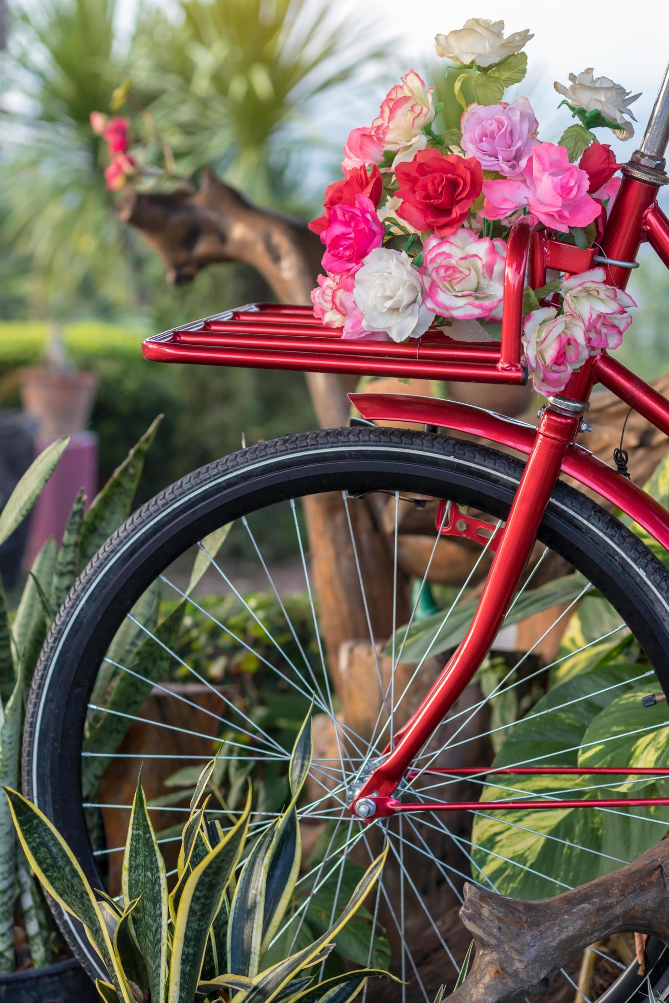 Beautiful artificial flowers on a red antique bike. Stock Free