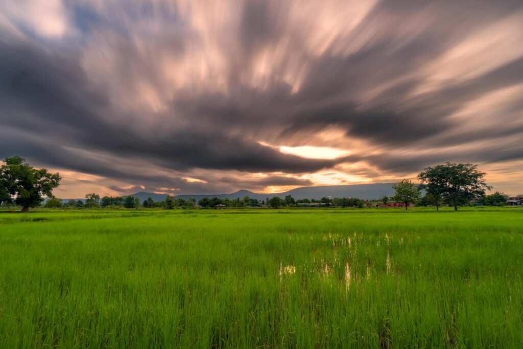 Natural scenic rice field and sunset in thailand Stock Free