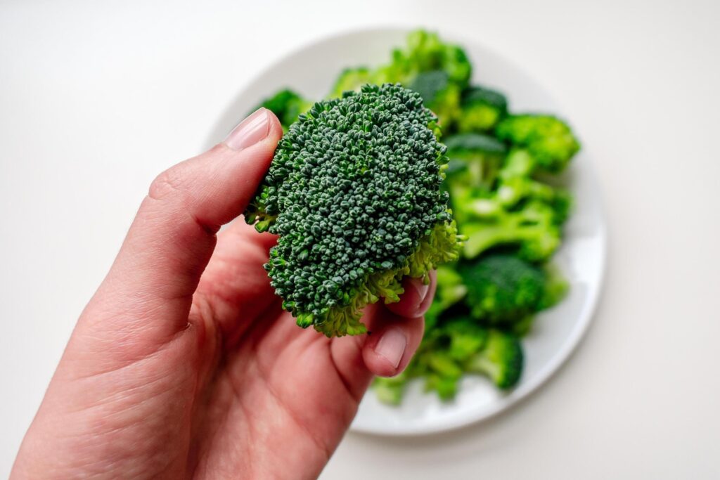 Broccoli in a woman’s hand against the background of a plate of broccoli. Broccoli on a white plate. Stock Free