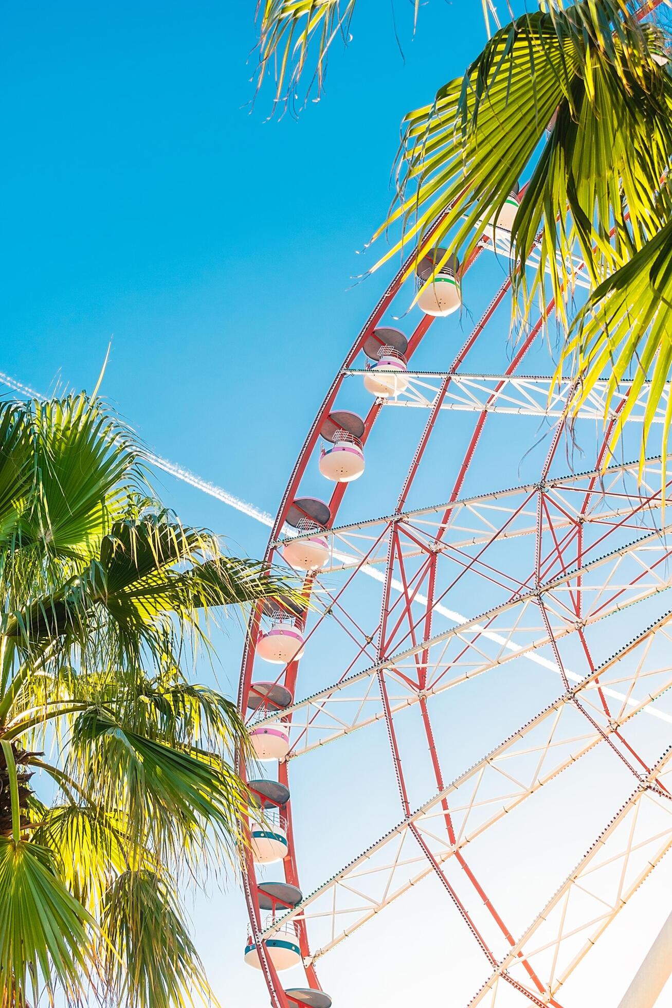 View of the Ferris wheel attraction against a background of blue sky between palm trees. Ferris wheel in the Georgian city of Batumi. Stock Free