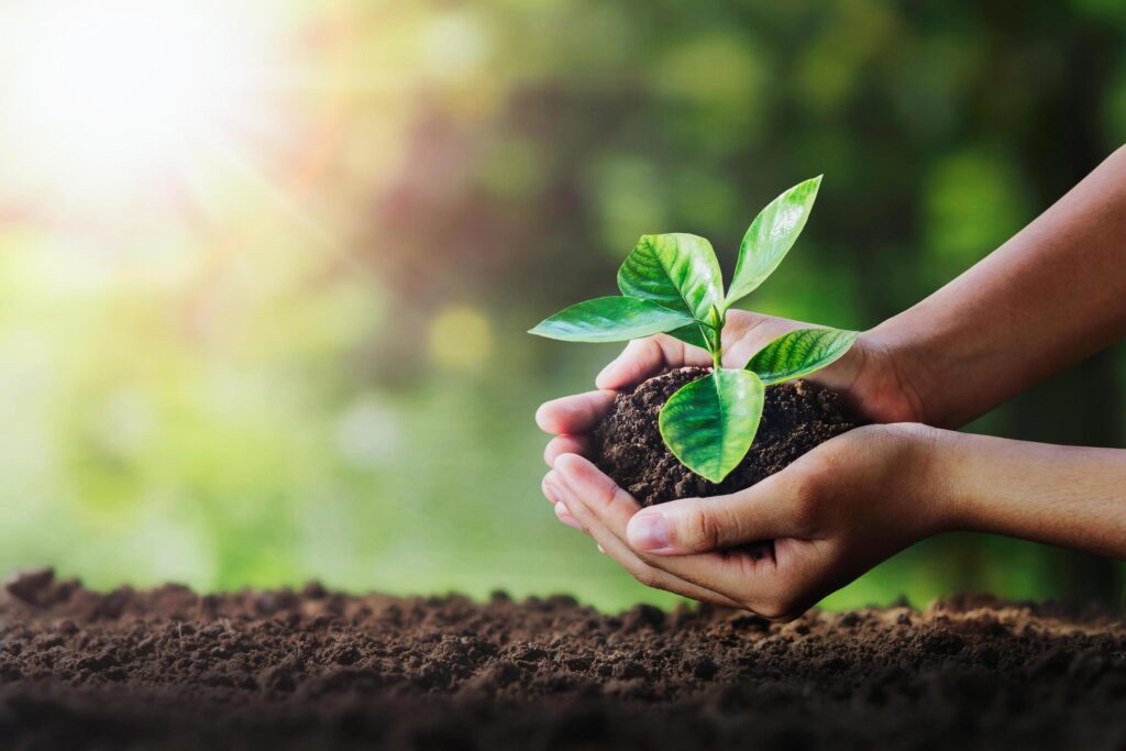 hand holding young plant on soil and green nature background. eco concept Stock Free