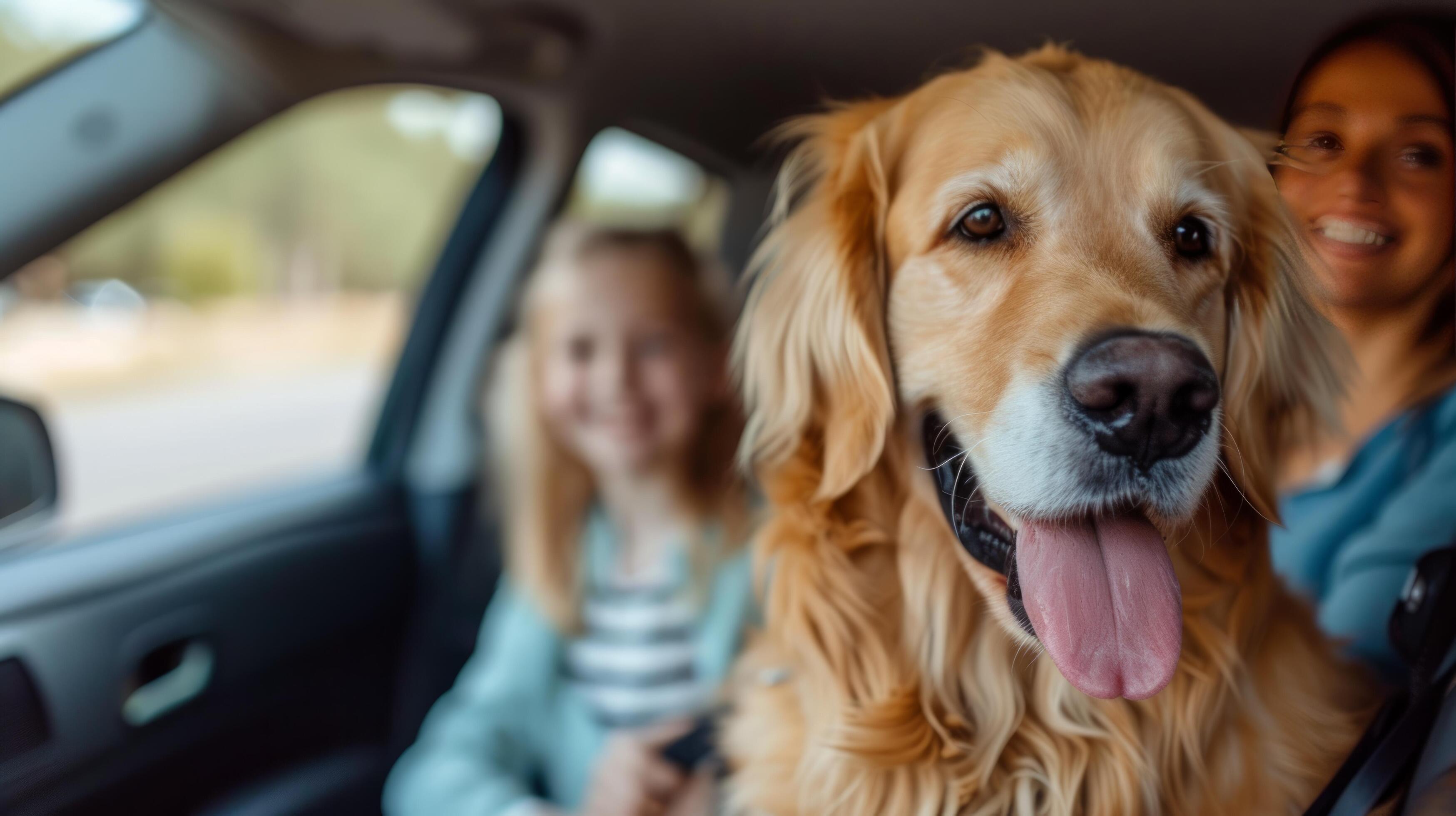 AI generated A young beautiful family is sitting in a car with their fluffy golden retriever dog Stock Free