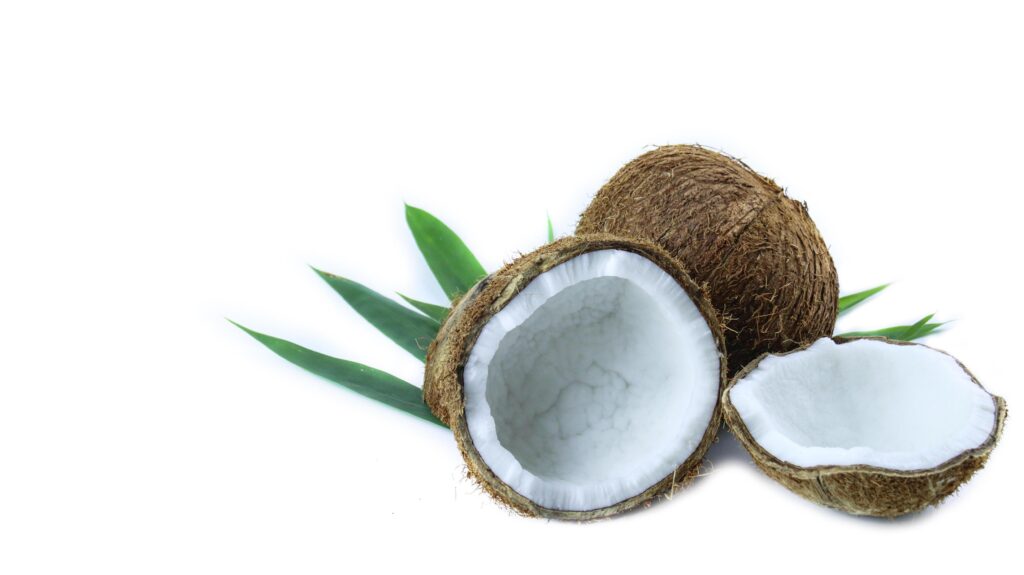 A close-up photograph of a mature and open coconuts isolated on a white background. Stock Free