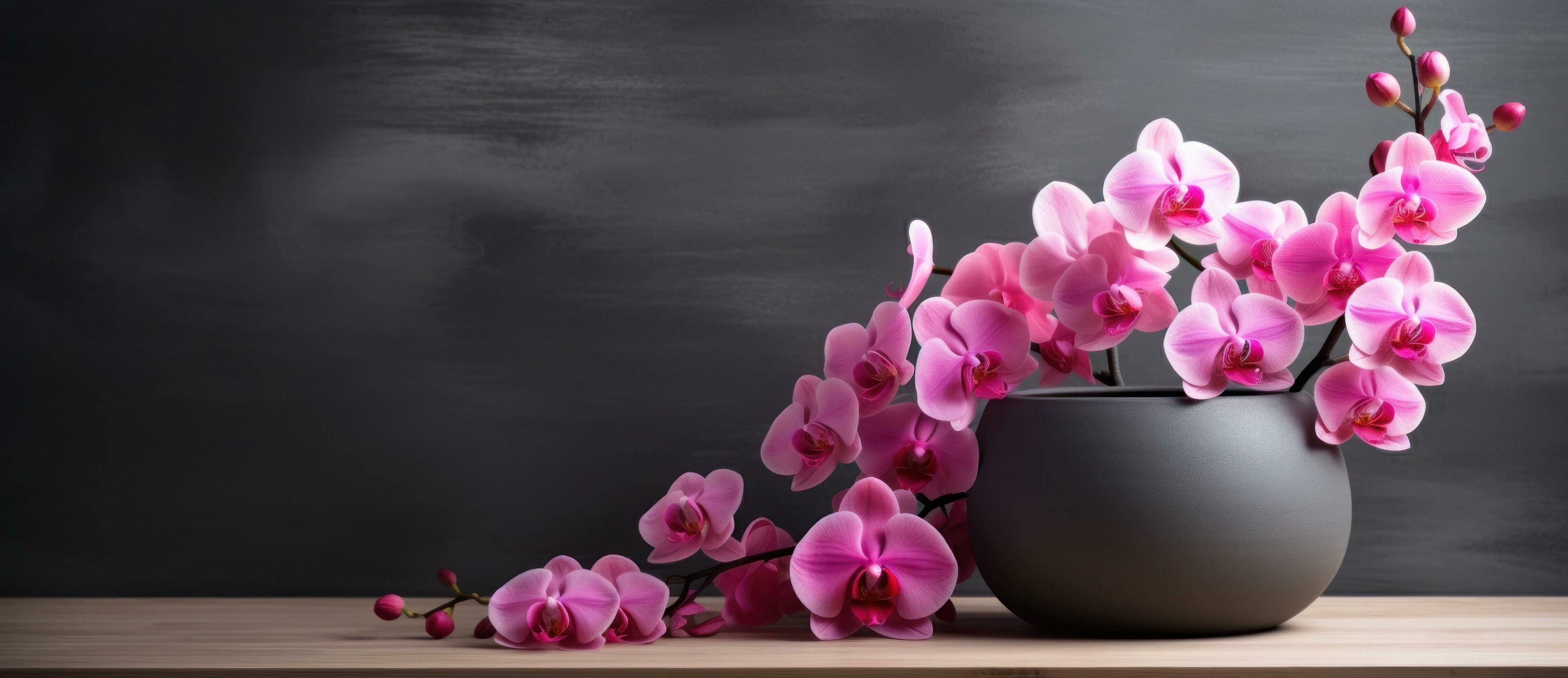 Pink orchid flowers on dark background Stock Free