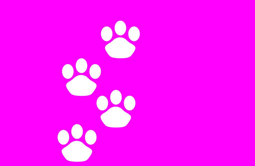 pink cat paws background Free Vector