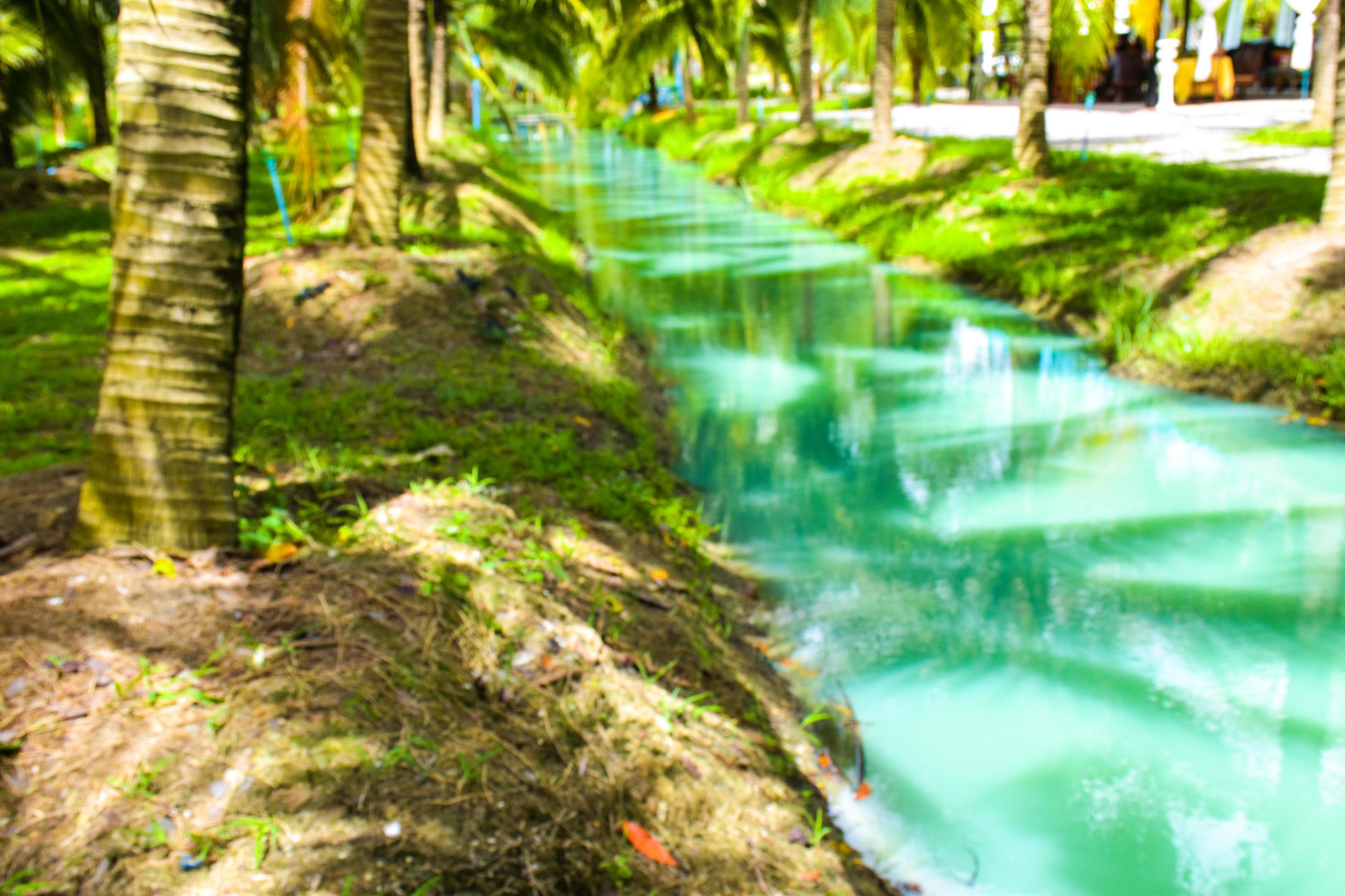 Coconut trees and blue water beauty nature in south Thailand Stock Free