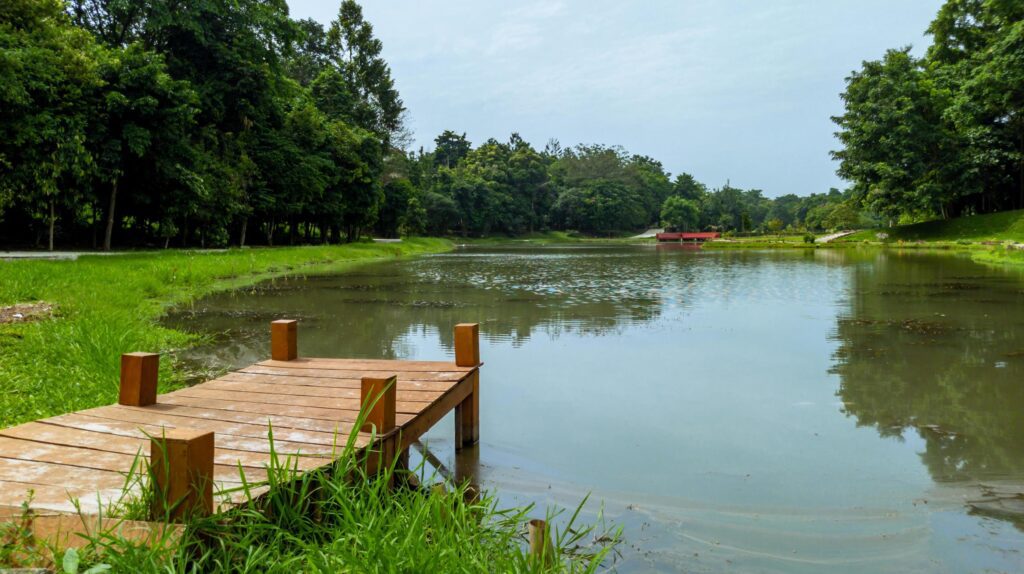 beautiful natural lanscape scenery, lake with wooden bridge, nature wallpaper, landscape background Stock Free