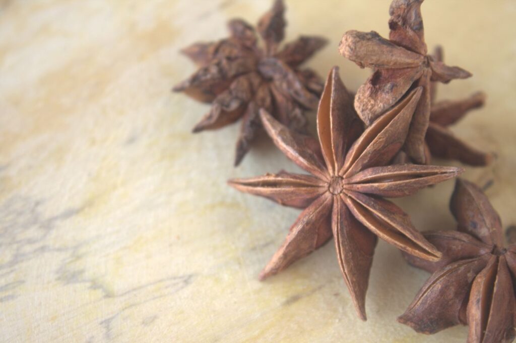 Spices Indian Star Shaped Stock Free