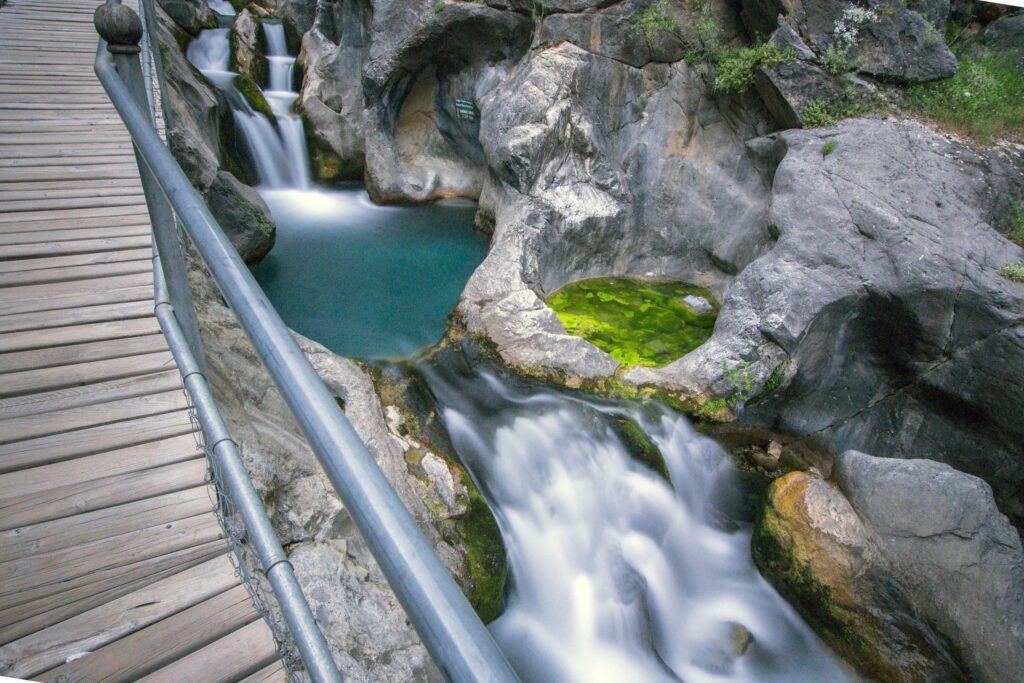 Mountain river stream waterfall green forest Landscape nature plant tree rainforest jungle Stock Free