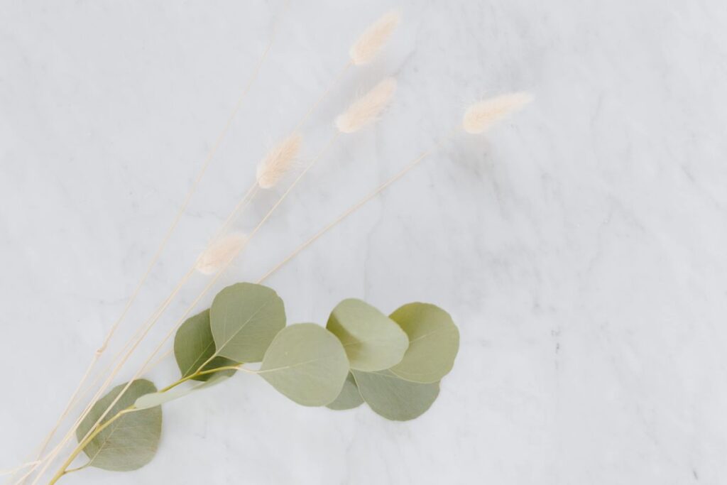 Dried flowers and eucalyptus on white marble Stock Free