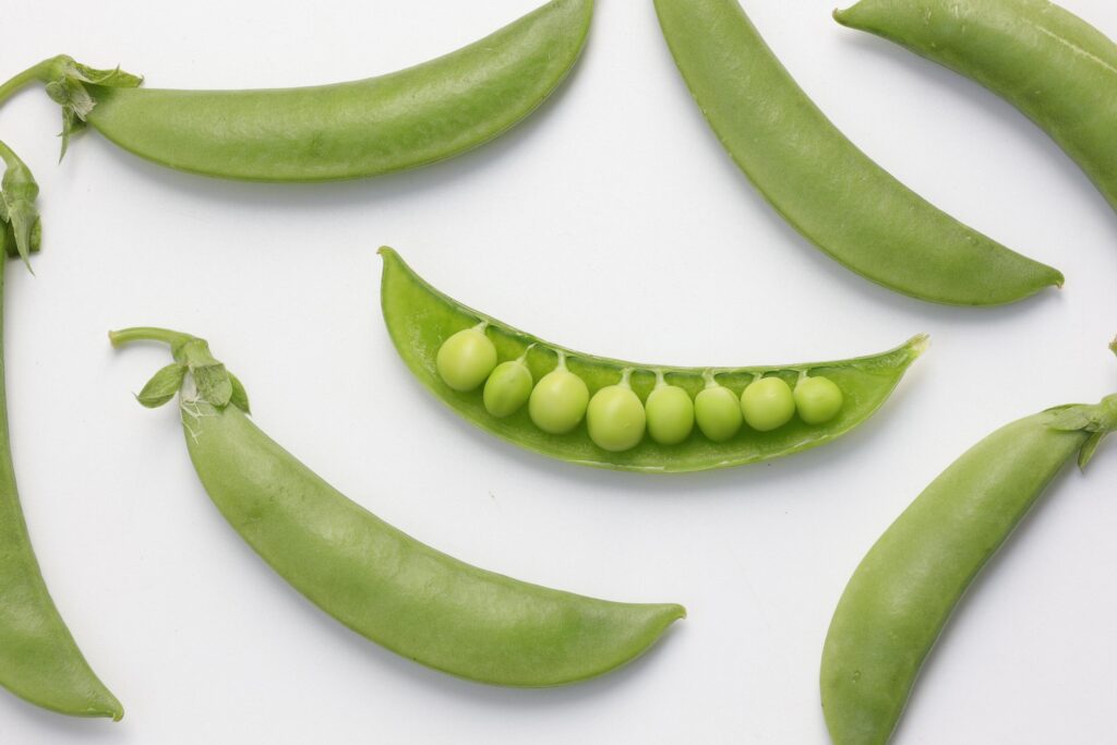 Pea on white background Stock Free