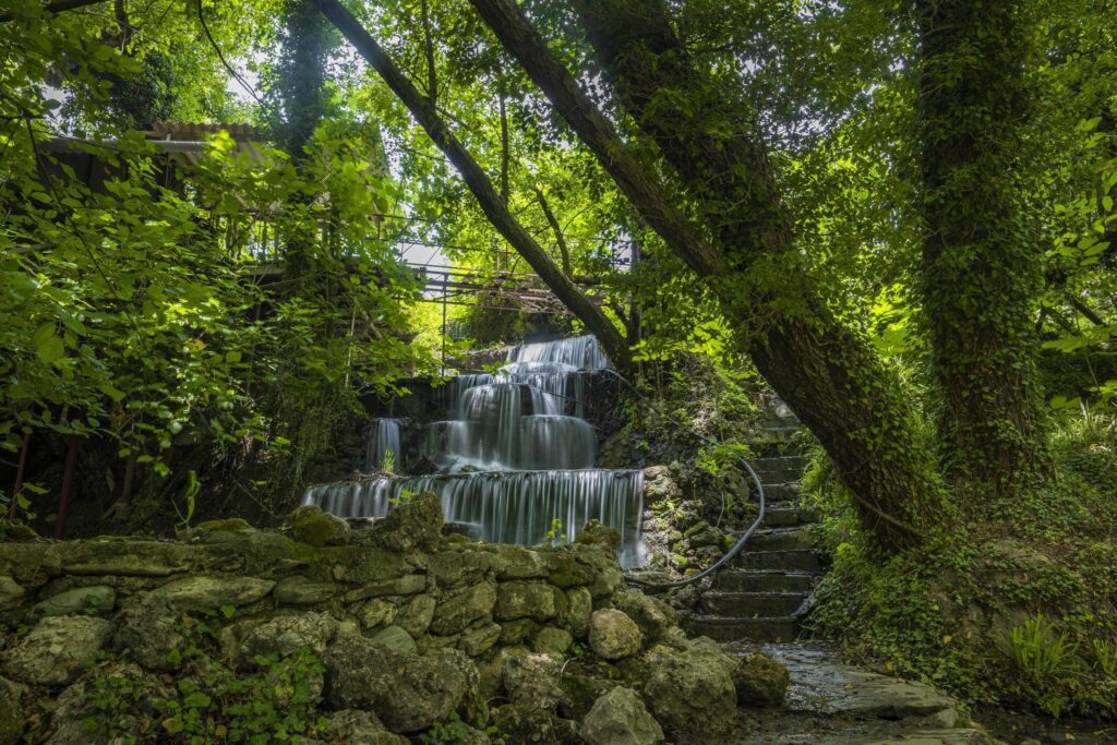 Mountain river stream waterfall green forest Landscape nature plant tree rainforest jungle Stock Free