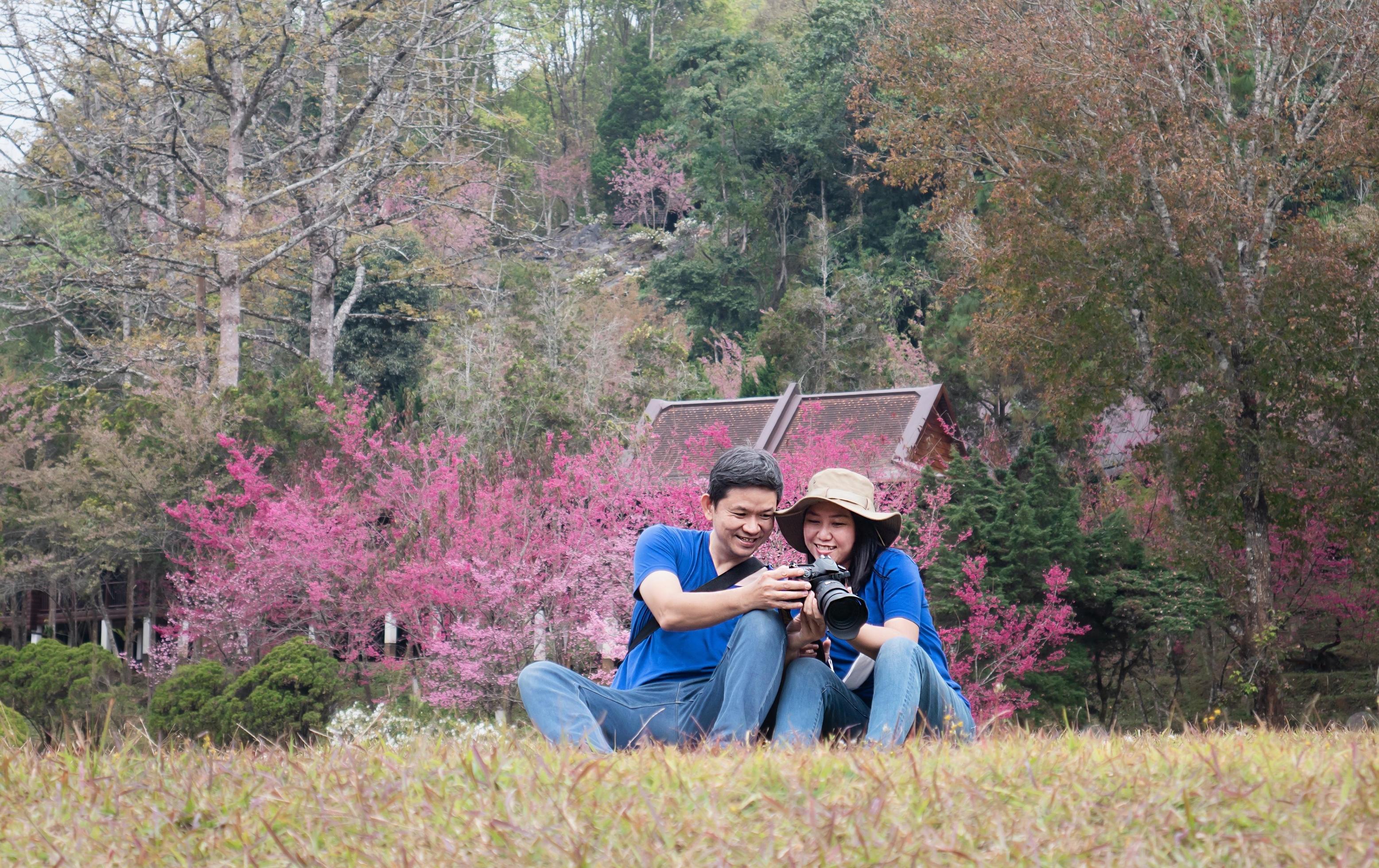 Asian couple happy taking photo in beauliful nature sakura flower garden in Doi Ang Khang, Chiangmai Thailand Stock Free