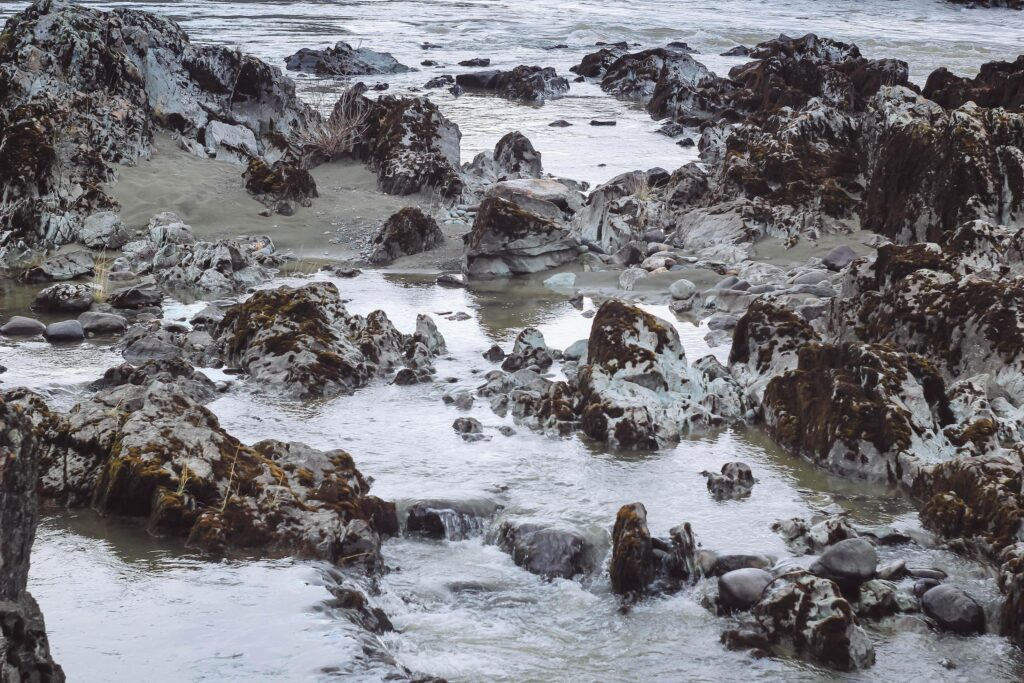 Small river flows on stones with moss. Closeup water and rock. Cloudy day, nature Stock Free