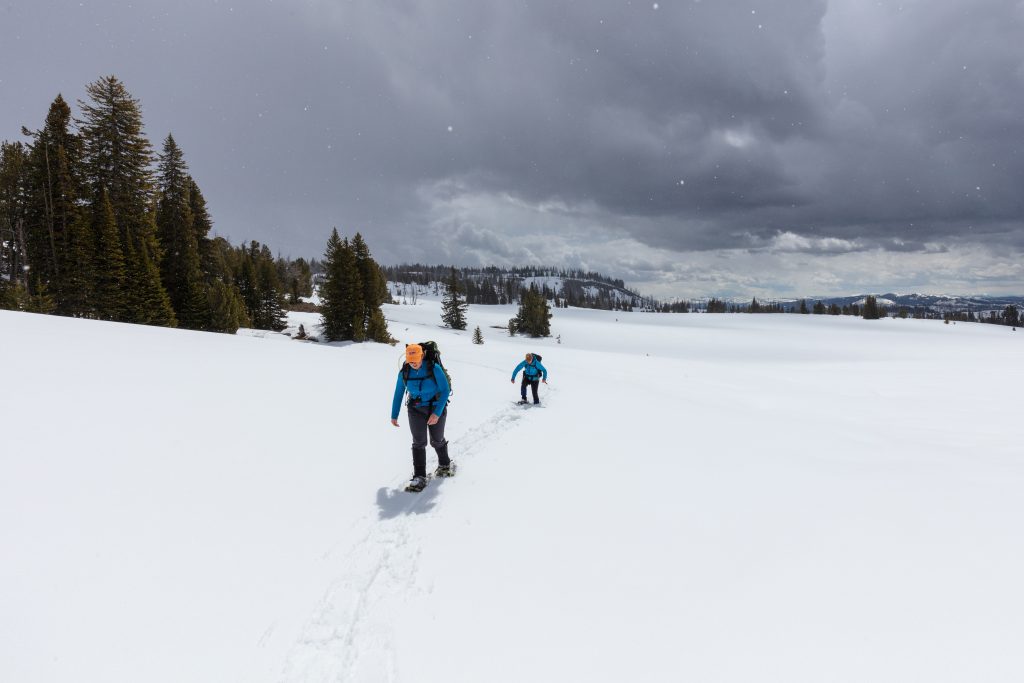 Free Stock Photo by Yellowstone NPS – n.1598 –