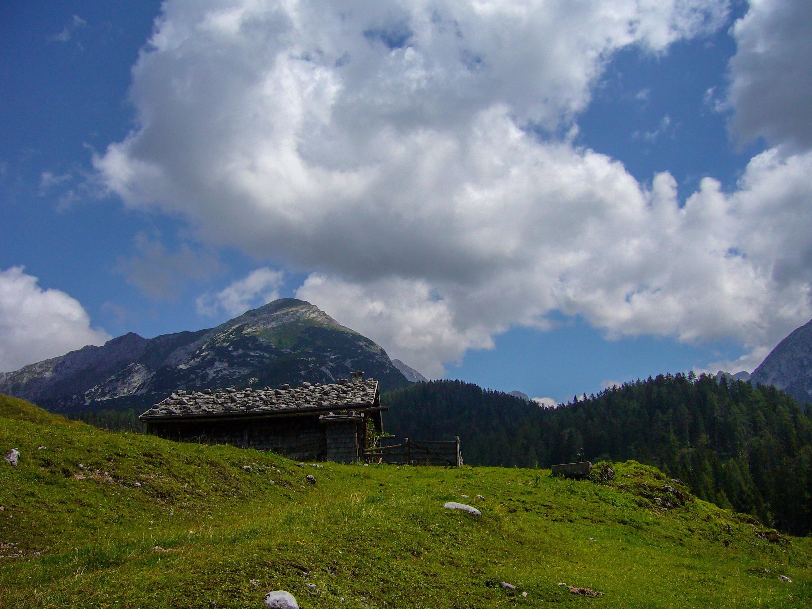 beautiful nature scenery at kallbrunn alm with cows, austria Stock Free