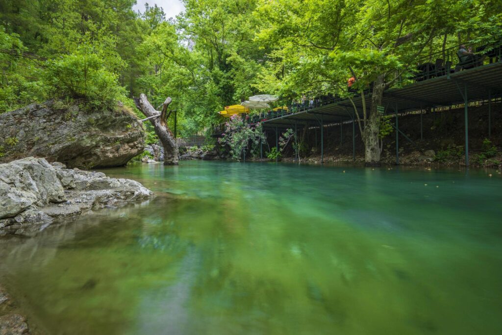 Mountain river stream waterfall green forest Landscape nature plant tree rainforest jungle Stock Free