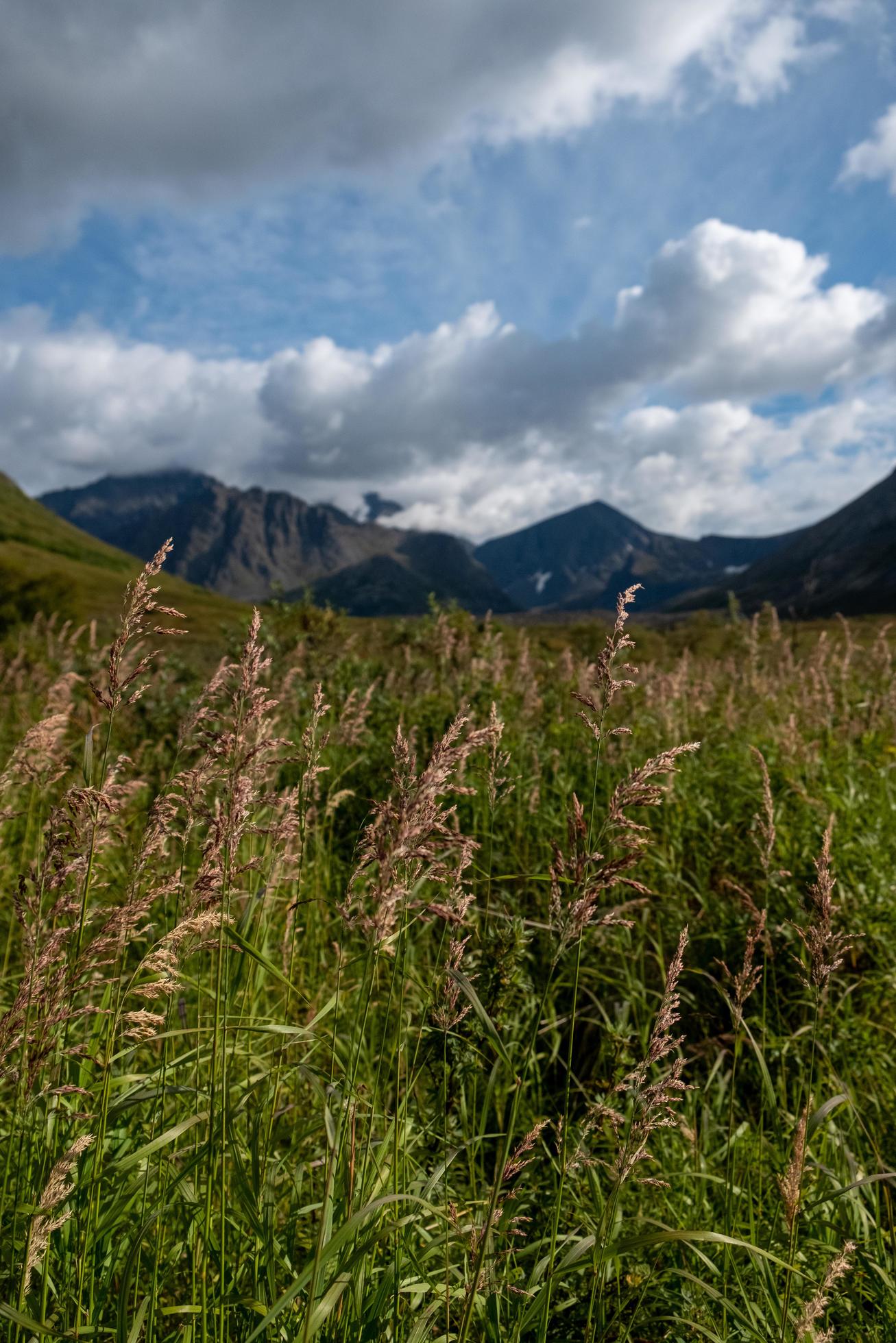 Nature landscape in Alaska Stock Free