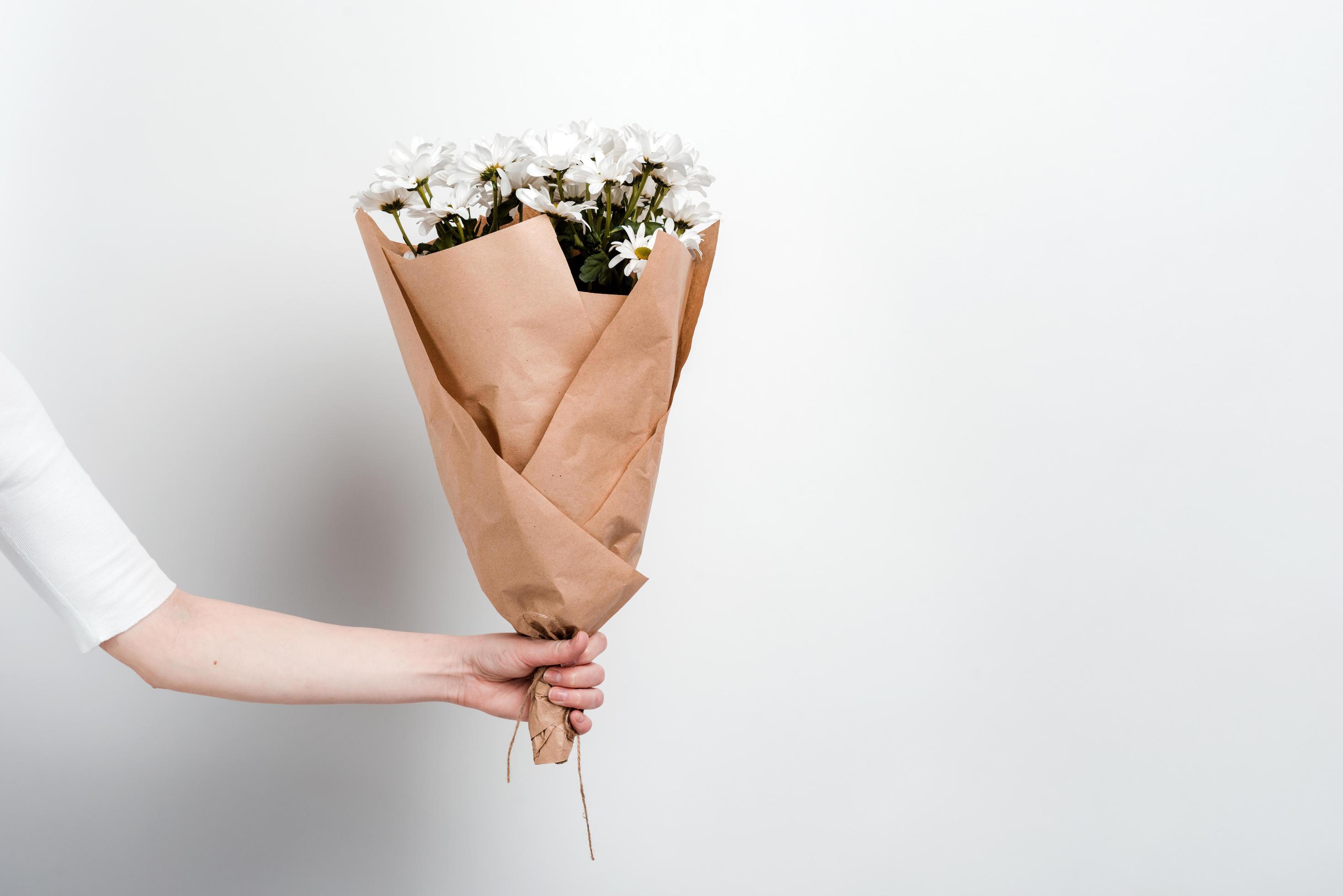 bouquet of chamomile flowers in female hand against a white background Stock Free