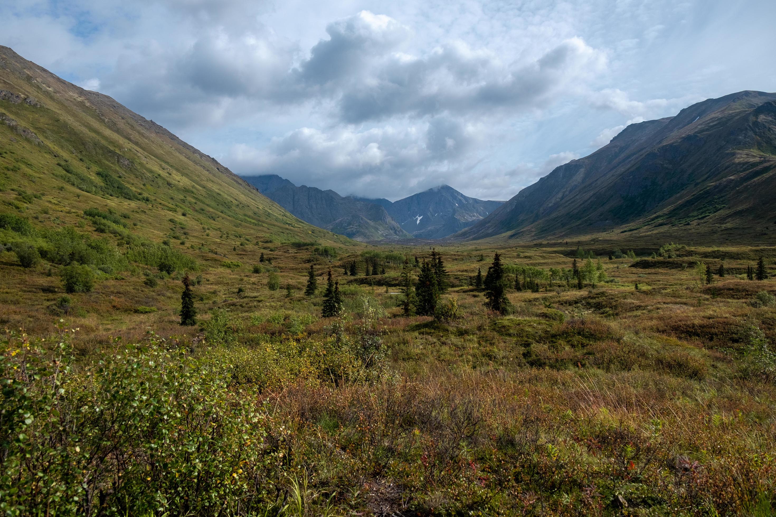 Nature landscape in Alaska Stock Free