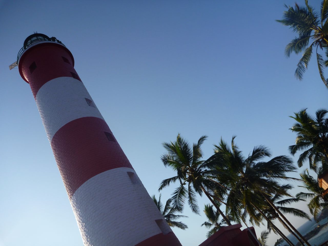 Lighthouse Palm Trees Stock Free