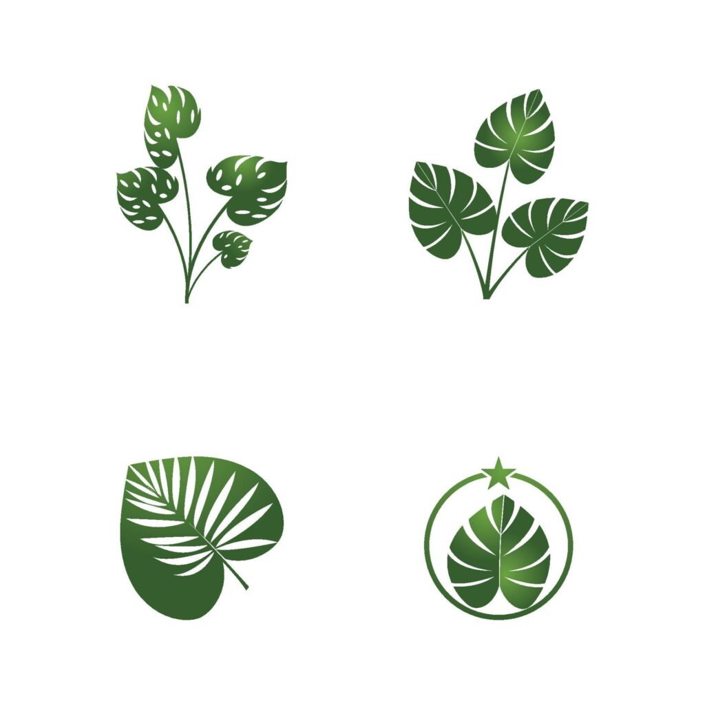 Monstera leaf logo vector design Stock Free