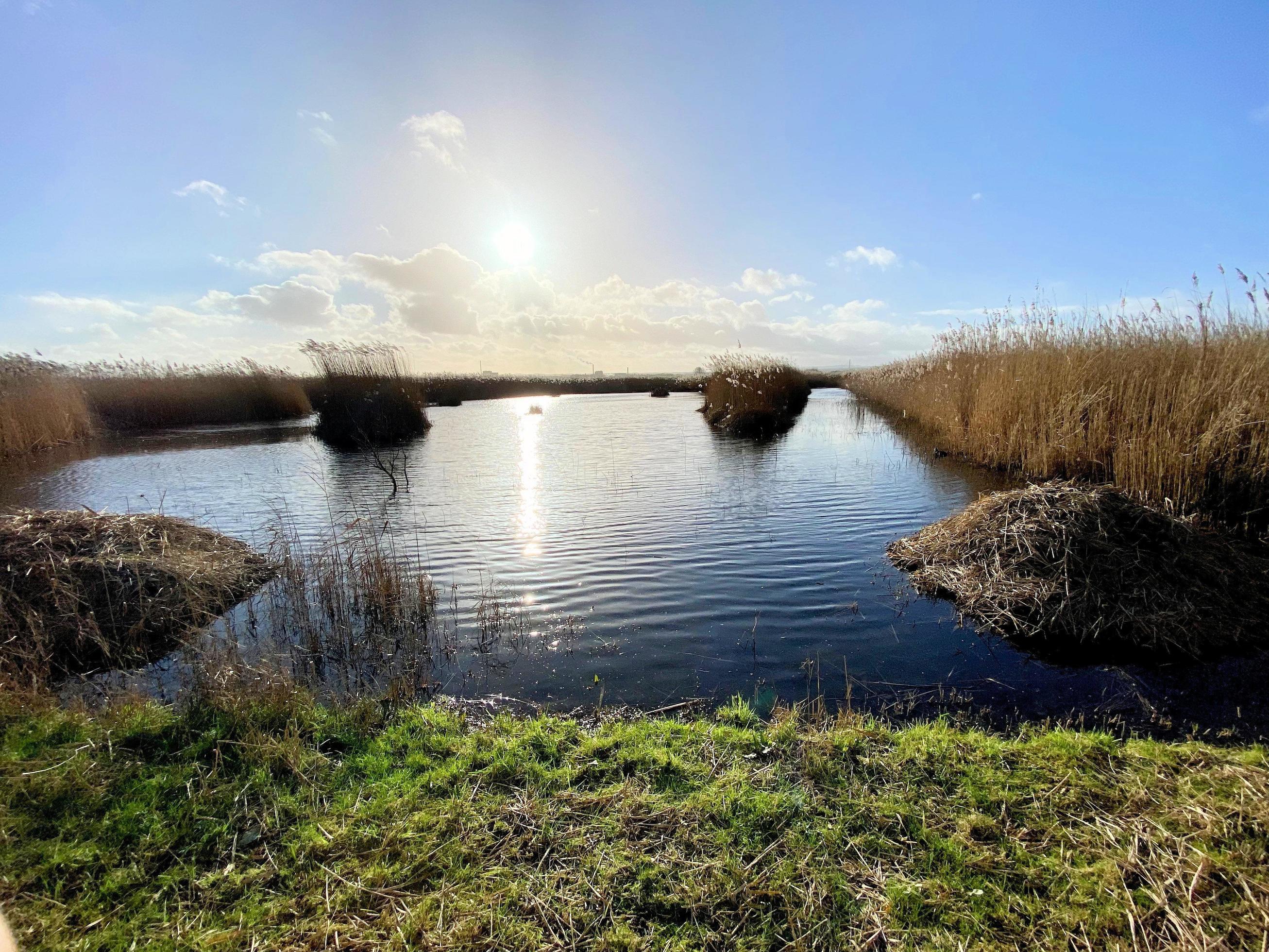 A view of Burton Mere Wetlands Nature Reserve Stock Free