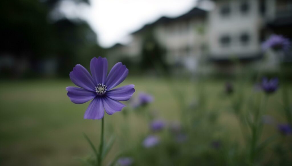 Fresh purple daisy blossom in green meadow, summer outdoors beauty generated by AI Stock Free