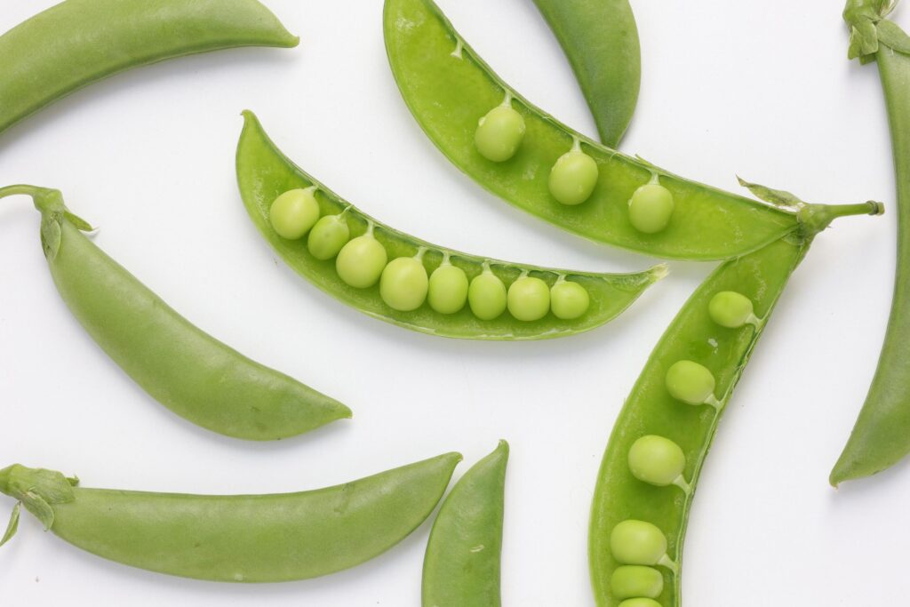 Pea on white background Stock Free