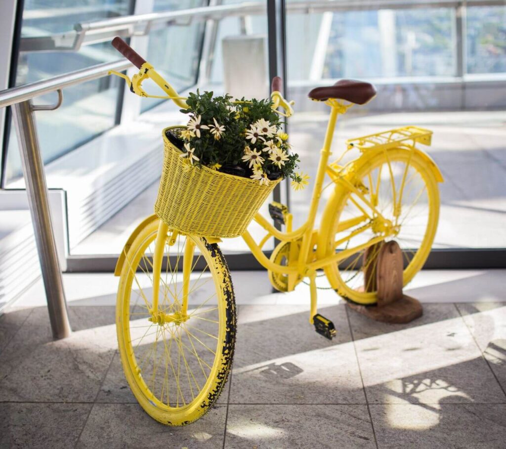 Yellow Bike Plants Flowers Stock Free