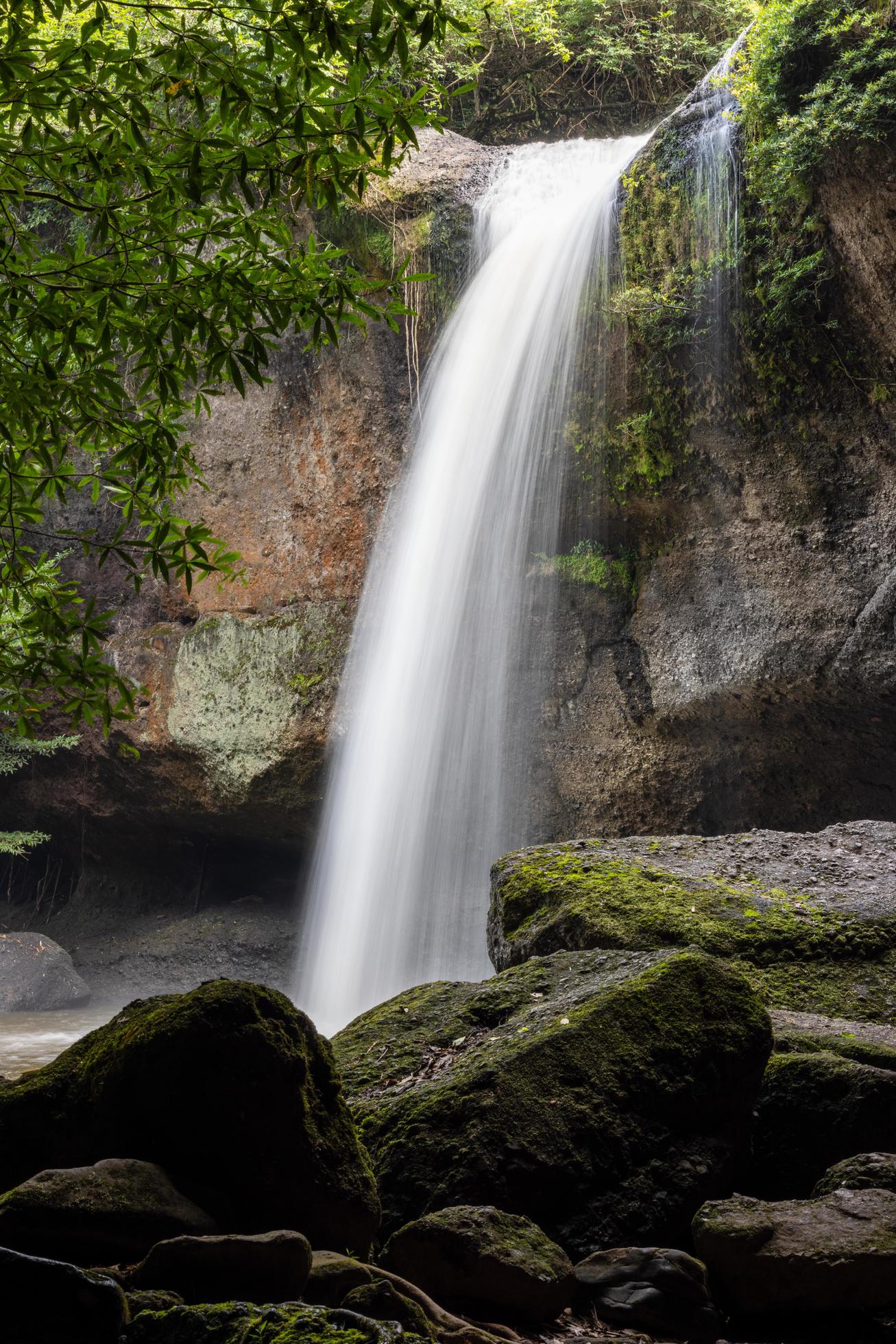 A natural waterfall in a big forest in the midst of beautiful nature. Stock Free