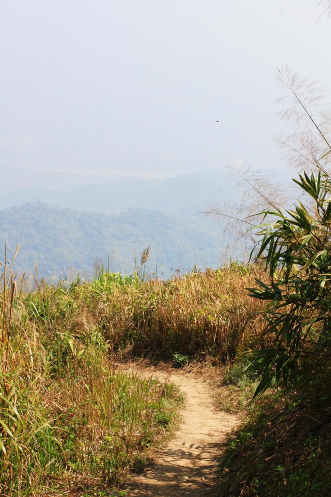 Natural footpath and dry grassland on the mountain at Doi Pha Tang hill in Thailand Stock Free