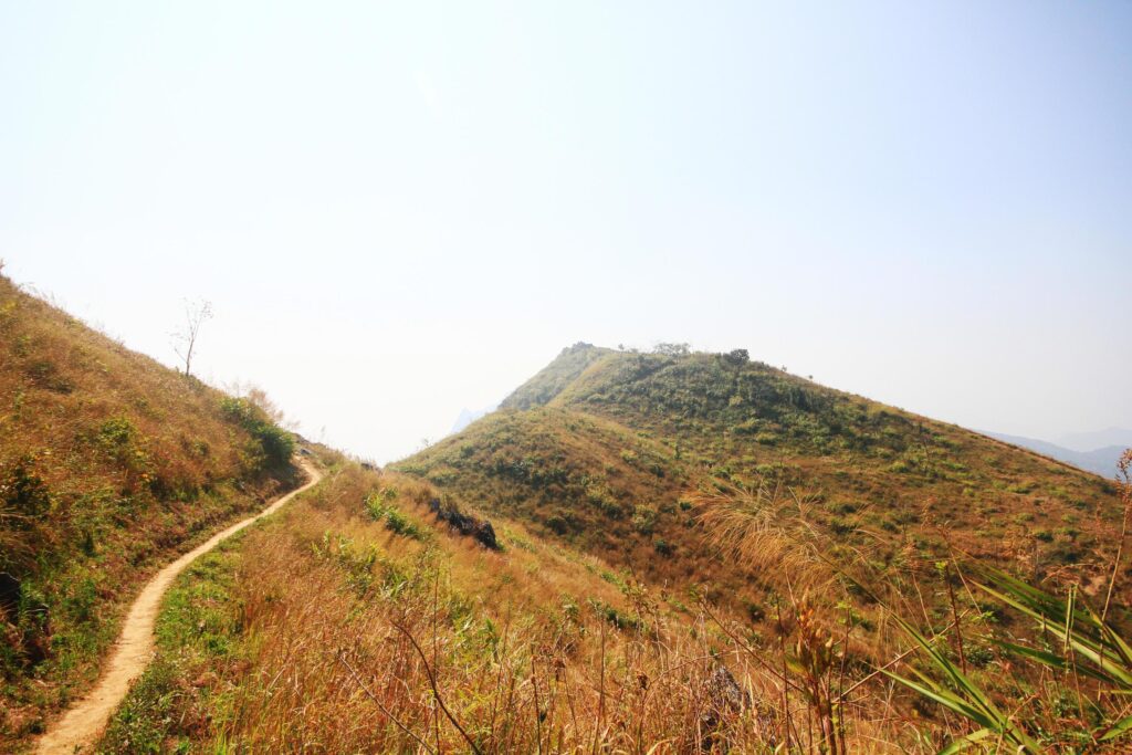 Natural footpath and dry grassland on the mountain at Doi Pha Tang hill in Thailand Stock Free