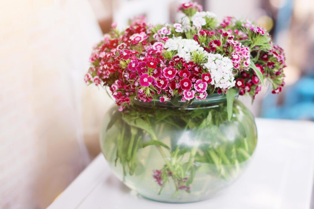 Bouquet Pink Flowers in Glass jar and water in glass vase. Stock Free